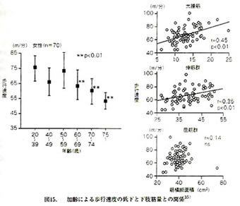 加齢による歩行速度の低下と下肢筋量との関係を示すグラフ